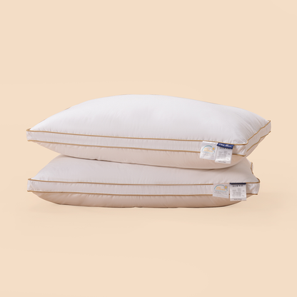 Gold Silk Bilateral Goose Down Pillow